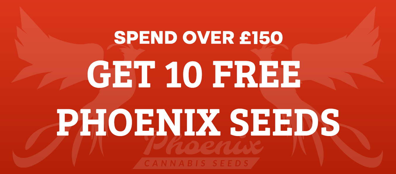 Orders Over £150 Get 10 FREE Seeds!