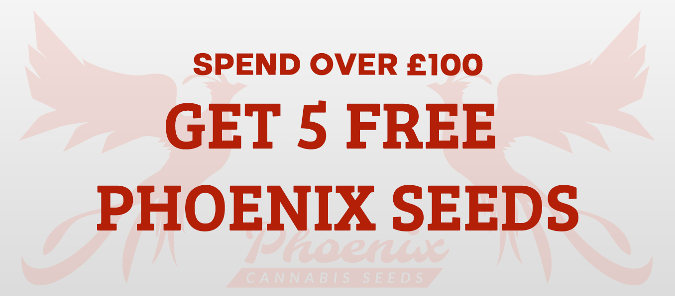 Orders Over £100 Get 5 FREE Seeds!