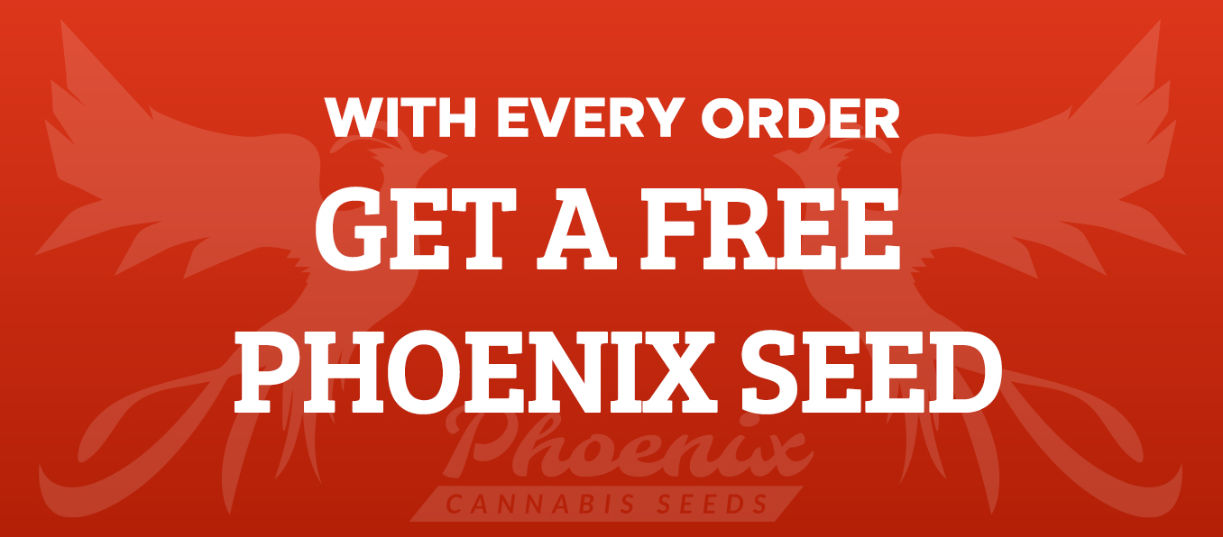 Get A FREE Seed With Every Order!