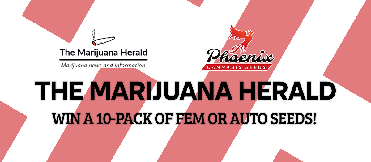 Welcome To Our Friends From The Marijuana Herald!