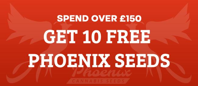 Orders Over £150 Get 10 FREE Seeds!