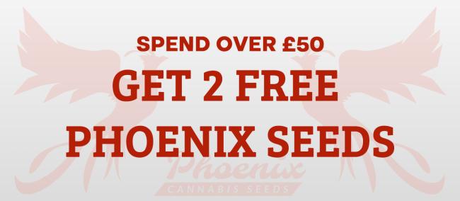 Orders Over £50 Get 2 FREE Seeds!