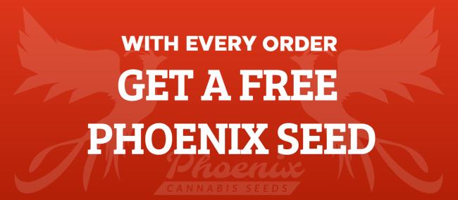 Get A FREE Seed With Every Order!