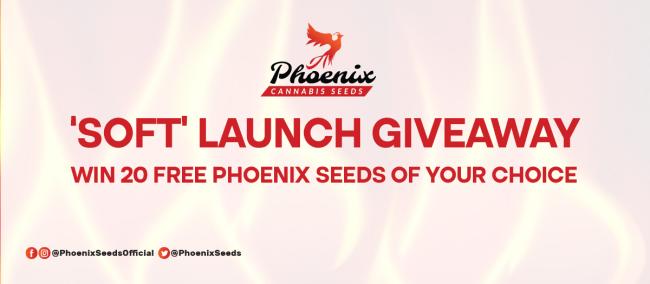 Welcome To Phoenix Cannabis Seeds Official Site!