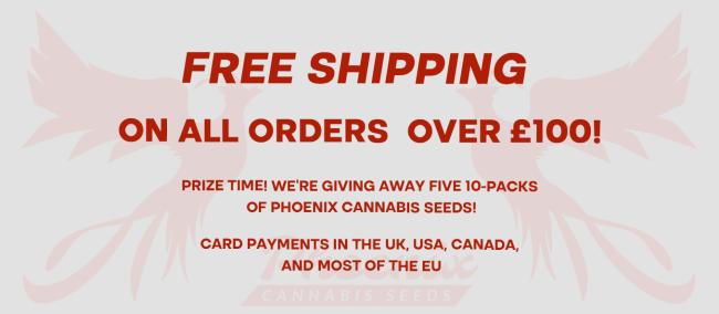 Free Shipping On All Orders Over £100 + Giveaway!