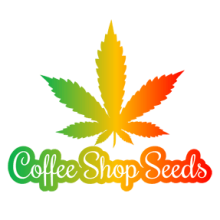 Coffee Shop Seeds